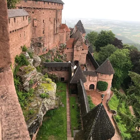 La Cime Du Chene Proche Europapark *